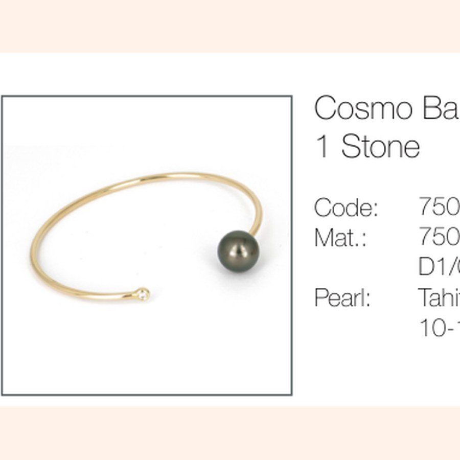 Cosmo Bangle 1 Stone jewellery piece cover
